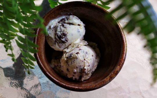 Foxfire Book of Appalachian Cookery: Frozen Treats for Summer