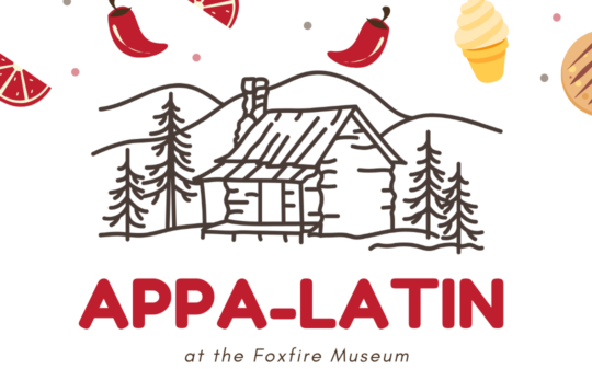 Appa-Latin Woodstove Pop Up